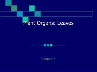 Plant Organs: Leaves