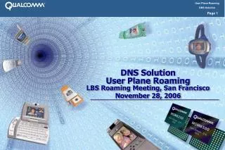 DNS Solution User Plane Roaming LBS Roaming Meeting, San Francisco November 28, 2006
