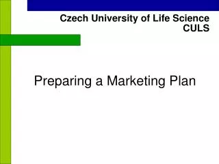 Preparing a Marketing Plan