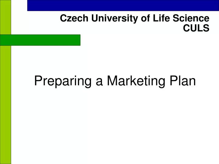 preparing a marketing plan