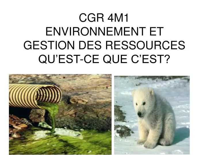 cgr 4m1 environnement et gestion des ressources qu est ce que c est