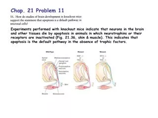 Chap. 21 Problem 11