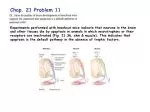 Understanding Apoptosis: A Crucial Cell Death Pathway - slide 1