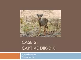 Case 2: Captive dik-dik
