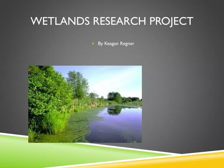 wetlands research project