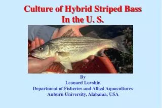 Culture of Hybrid Striped Bass In the U. S.