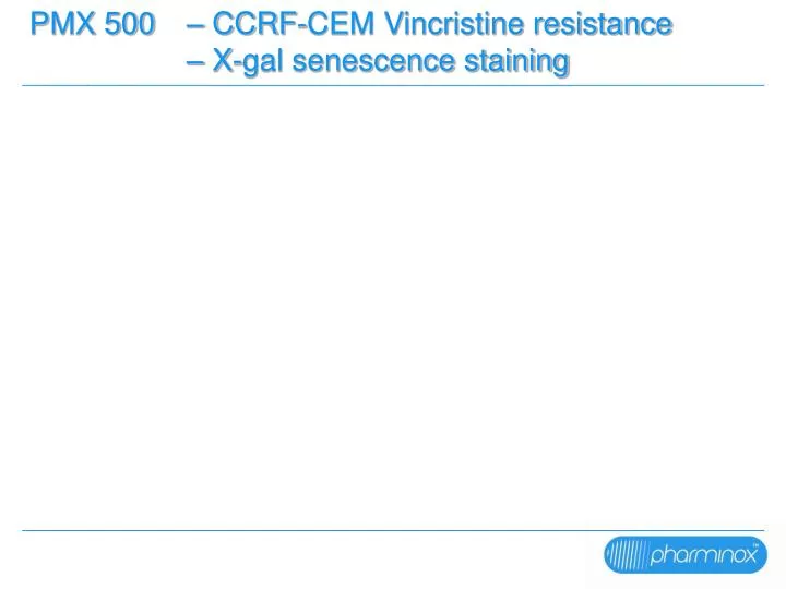 pmx 500 ccrf cem vincristine resistance x gal senescence staining