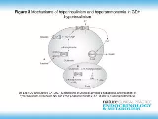 Figure 3 Mechanisms of hyperinsulinism and hyperammonemia in GDH hyperinsulinism