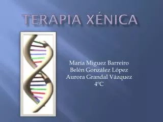 terapia x nica
