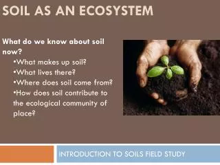 SOIL AS AN ECOSYSTEM