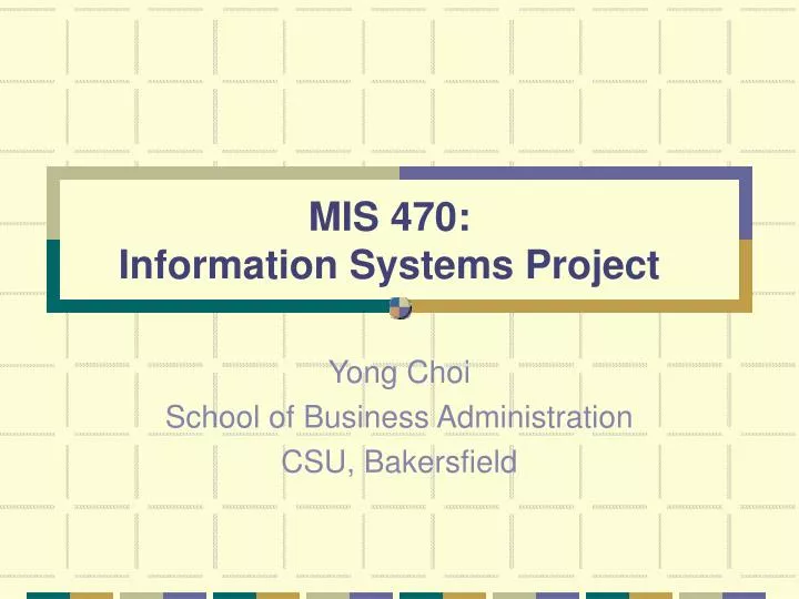 mis 470 information systems project