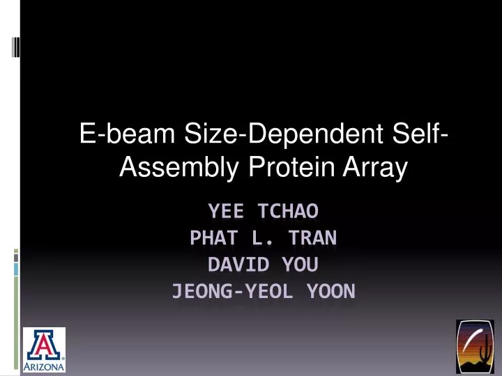 e beam size dependent self assembly protein array