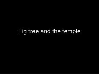 fig tree and the temple