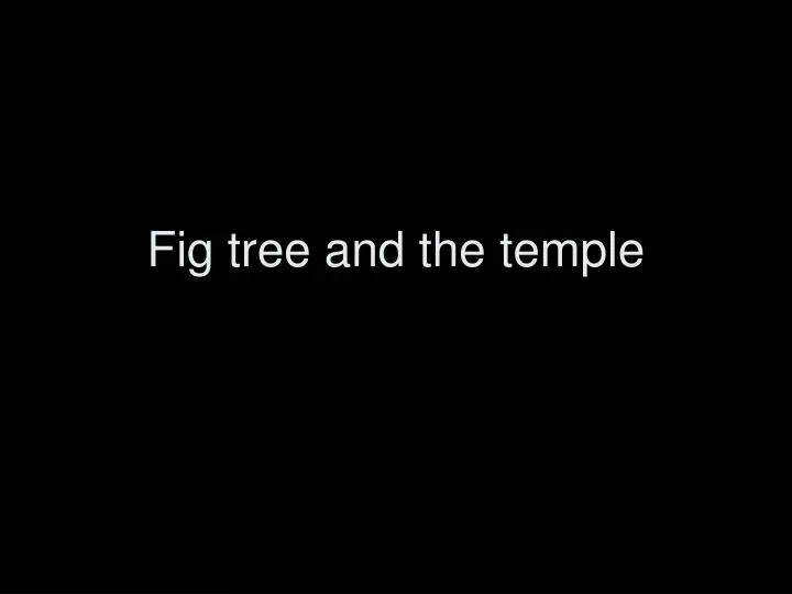 fig tree and the temple