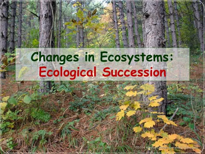 changes in ecosystems ecological succession