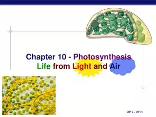 Chapter 10 - Photosynthesis Life from Light and Air