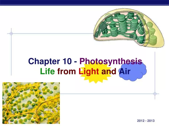 chapter 10 photosynthesis life from light and air