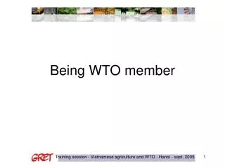 Being WTO member