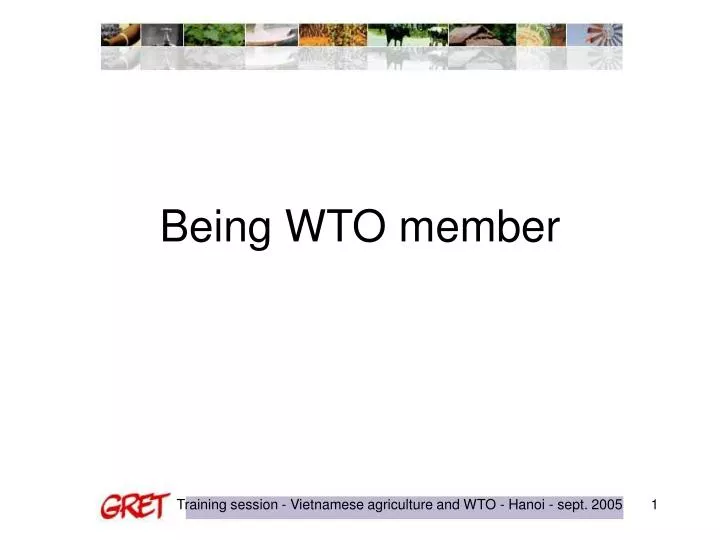 being wto member
