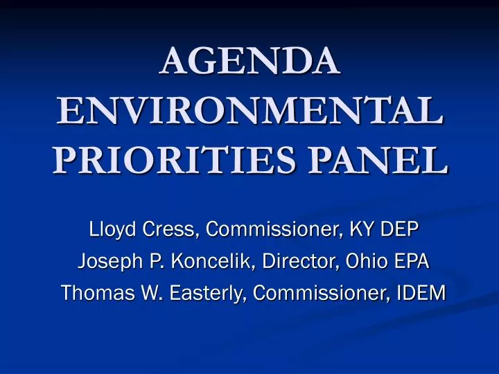 agenda environmental priorities panel