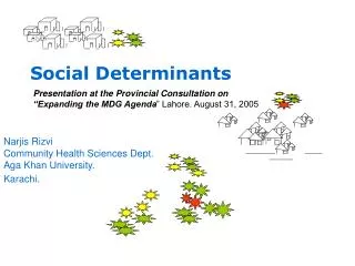 Social Determinants