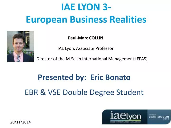 iae lyon 3 european business realities