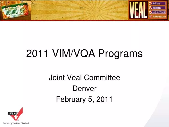 2011 vim vqa programs
