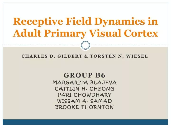 receptive field dynamics in adult primary visual cortex