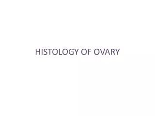 HISTOLOGY OF OVARY