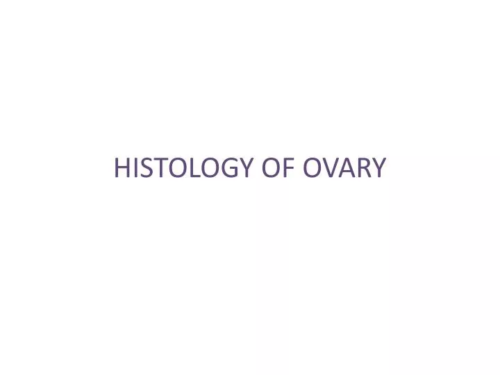 histology of ovary