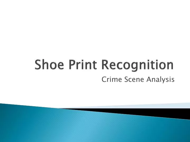 shoe print recognition