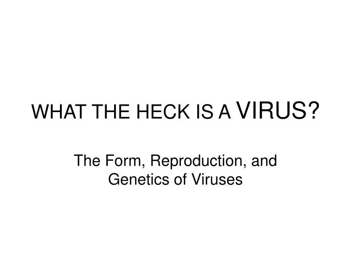 what the heck is a virus