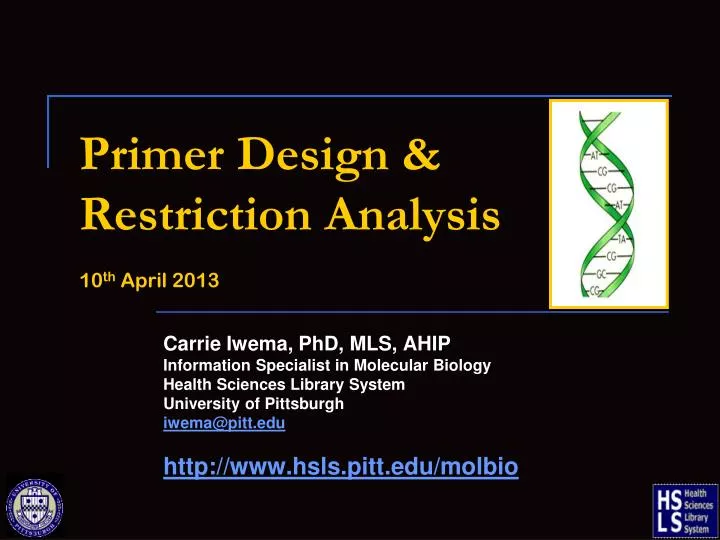 primer design restriction analysis 10 th april 2013