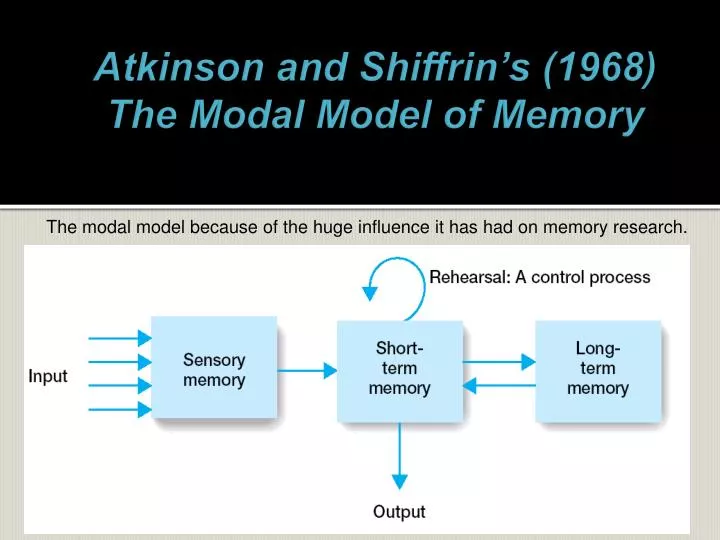 atkinson and shiffrin s 1968 the modal model of memory