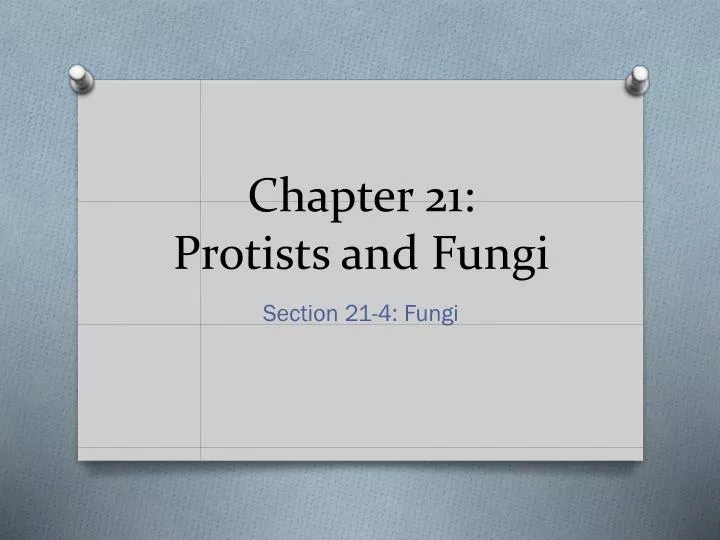 chapter 21 protists and fungi
