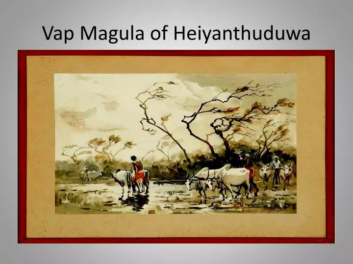 vap magula of heiyanthuduwa