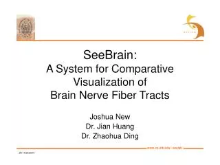 SeeBrain: A System for Comparative Visualization of Brain Nerve Fiber Tracts