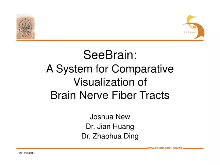 seebrain a system for comparative visualization of brain nerve fiber tracts