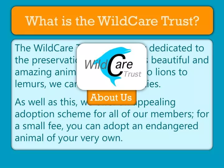 what is the wildcare trust