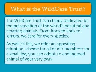 What is the WildCare Trust?