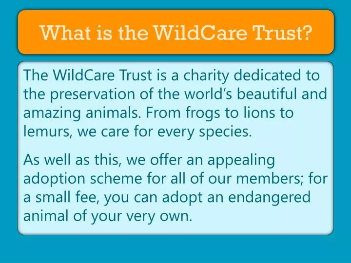 what is the wildcare trust