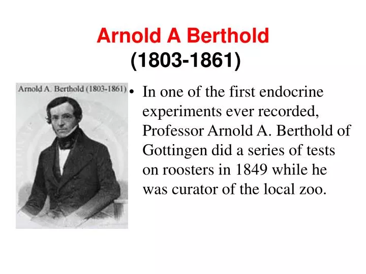arnold a berthold 1803 1861
