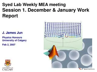 Syed Lab Weekly MEA meeting Session 1. December &amp; January Work Report