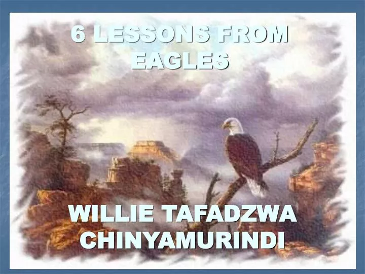 6 lessons from eagles
