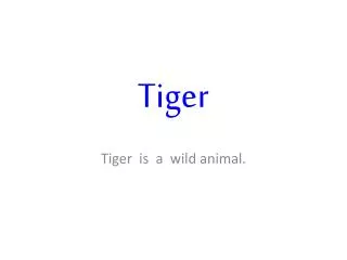 tiger