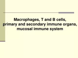 Macrophages, T and B cells, primary and secondary immune organs, mucosal immune system