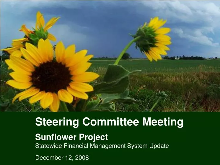 steering committee meeting sunflower project statewide financial management system update