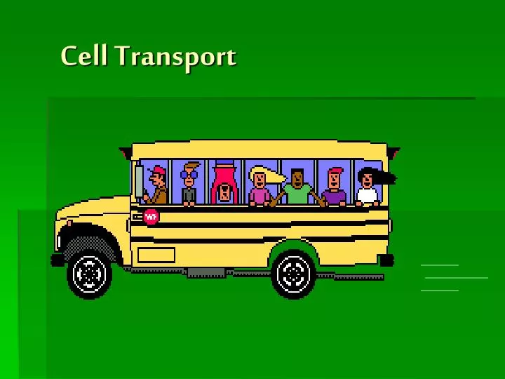 cell transport