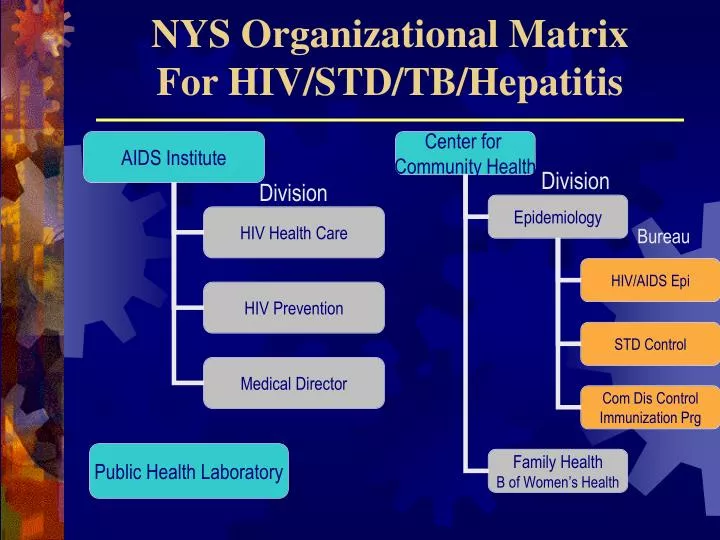 nys organizational matrix for hiv std tb hepatitis