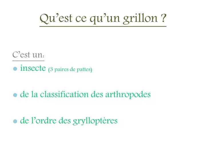 qu est ce qu un grillon